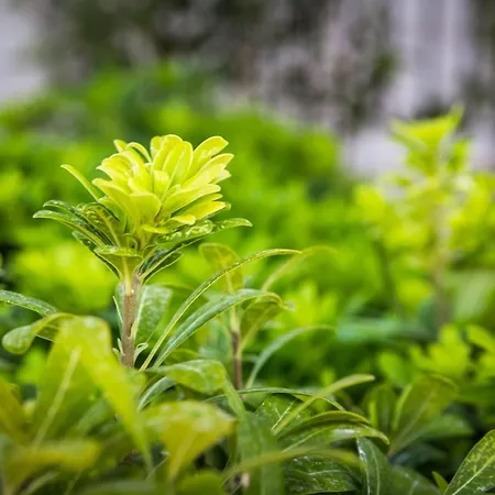 Attractive 5 Bedrooms Precious Amazing Sea Views * 로고즈니차