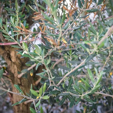 Attractive 5 Bedrooms Precious Amazing Sea Views * 로고즈니차