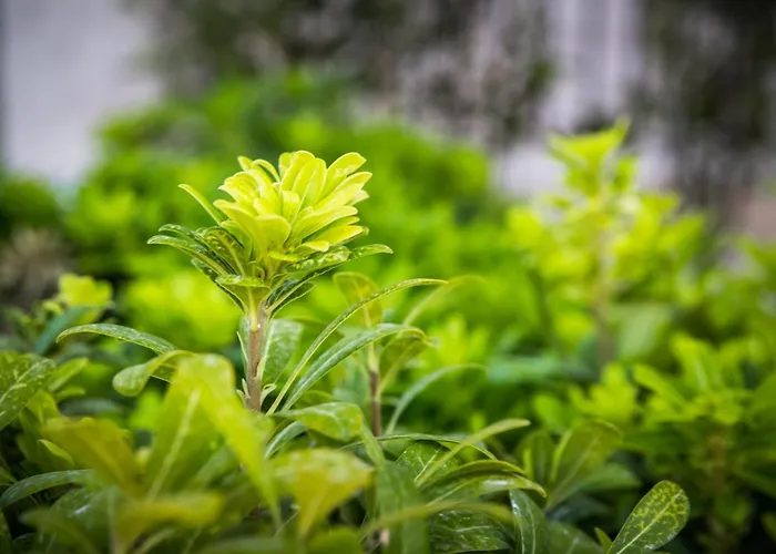 Attractive 5 Bedrooms Precious Amazing Sea Views * Rogoznica (Sibenik-Knin)